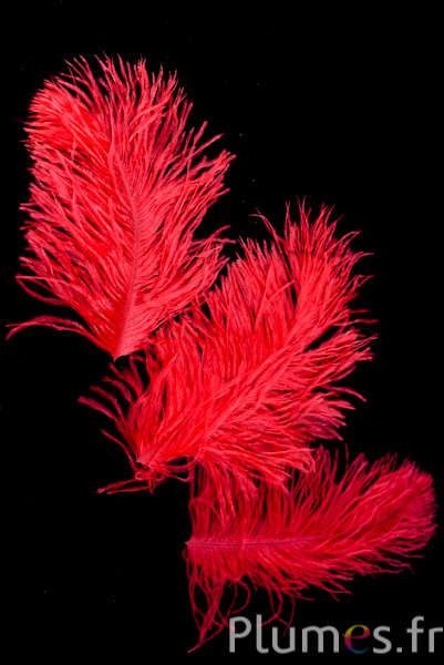 Autruche têtes - 10-15 cm - rouge